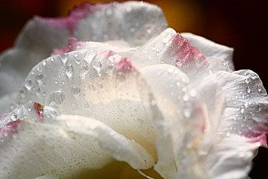 《绝地求生》母公司Krafton收购聊天平台HelloBot